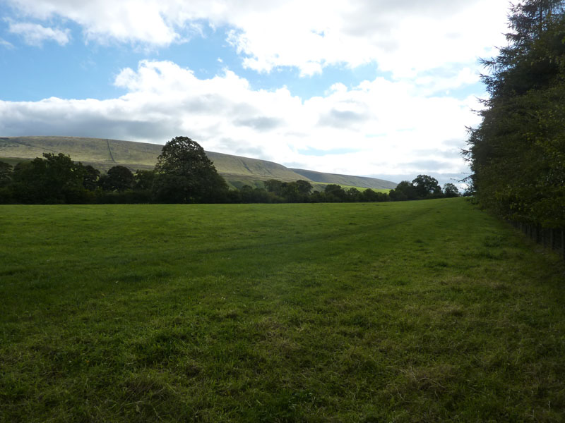 Pendle